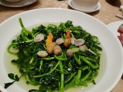 西洋菜-广东胜利宾馆西关粤中餐厅