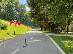 -深圳国际园林花卉博览园