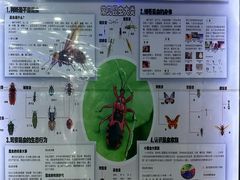 -上海大自然野生昆虫馆