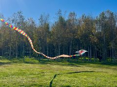 -长春市南湖公园