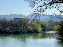 -西溪国家湿地公园