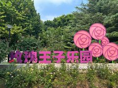 -大望京公园
