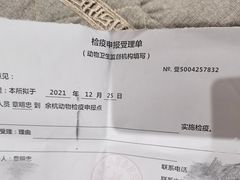 -杭州萧山国际机场