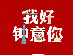 -大队长大灶鹅