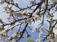 -终南山南五台景区