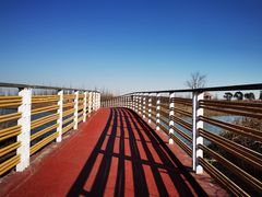 -春花秋色城市公园