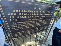 -蓬莱阁景区