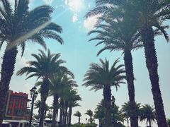 -美国村