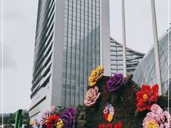 -花之城
