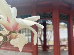 -北坞公园