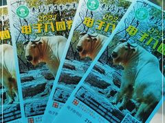 -秦皇岛野生动物园
