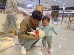 -柴犬小屋·柴餐厅·狗咖食堂(金鼎广场店)