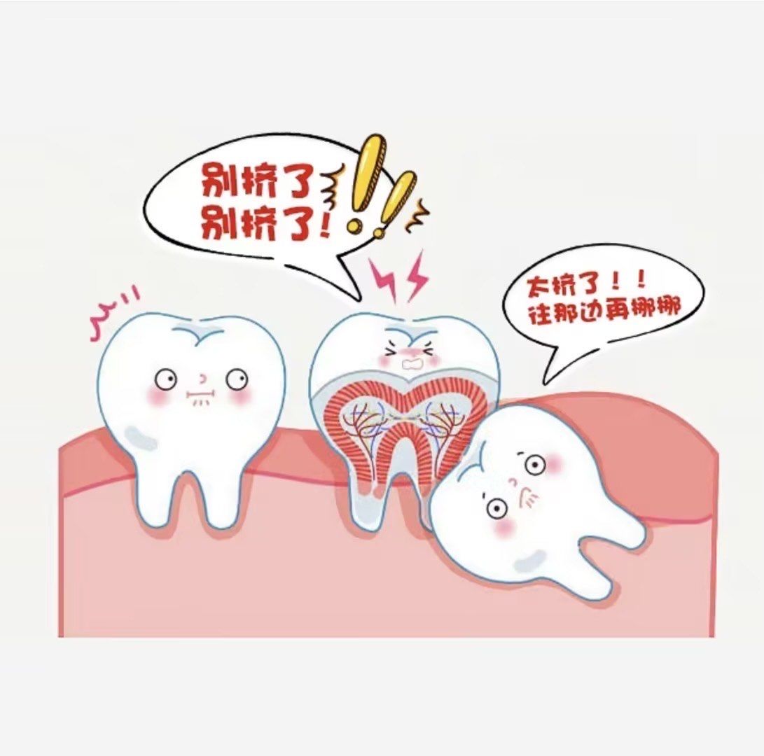 遇到阻生智齿怎么办?"
正常生长的智