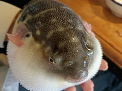 -永安鱼庄·镇江菜(丁卯店)