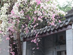 -深圳国际园林花卉博览园