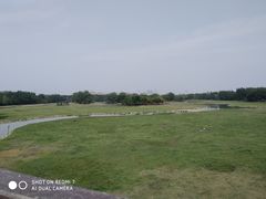 -北京麋鹿生态实验中心