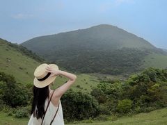 -大姆山草场