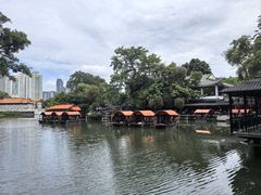 -侨美·唐荔园·40年地道粤菜