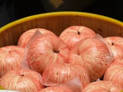 -钱塘秋荷·新江浙菜(沪太路店)