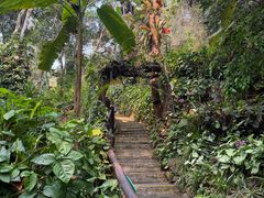 -野象谷景区