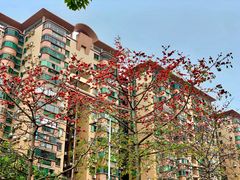 -御口福·廿八年经典粤菜·驰名烧鹅 (远景路店)