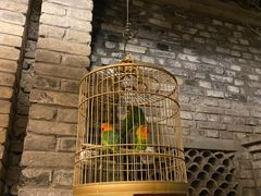 -鱼桥巷·美学川菜