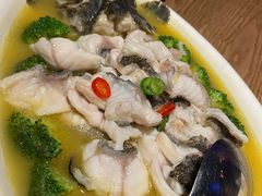 酸汤龙胆鱼-新悦·霞浦海鲜生(上下杭店)