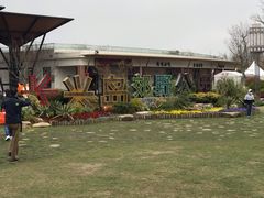 -上海长兴岛郊野公园