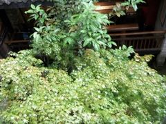 -鱼桥巷·美学川菜