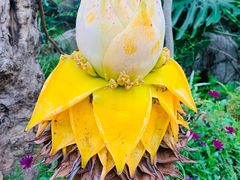 -南通洲际绿博园