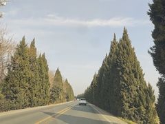 -法门文化景区