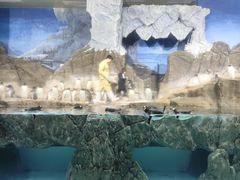 -成都浩海立方海洋公园