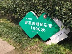 -雨花胜境