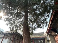 -万寿八仙宫