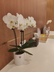 -深圳艺星医疗美容医院