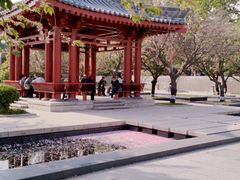 -大雁塔北广场音乐喷泉