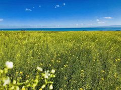 -青海湖国家重点风景名胜区