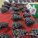 国庆节逛早市