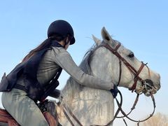 -北京群众马术培训基地