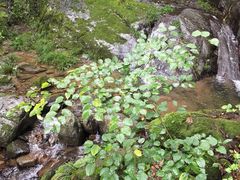-藏龙百瀑风景区