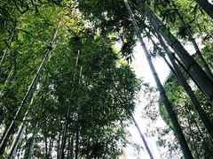 -穹六人间 people 6(岳阳路店)