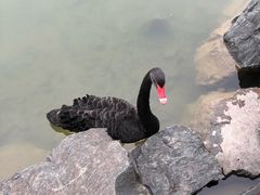 -上海怡沁园度假酒店