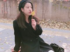 -三里屯东五街银杏大道