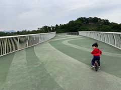 -飞凤山奥体公园