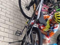 -道路口单车爱瓦士dahon大行