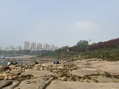 -金海湾滨江公园