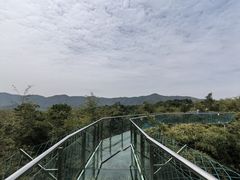 -陶祖圣境风景区