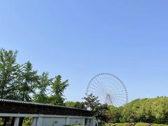-蠡湖大桥公园