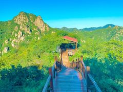 -大岭沟猕猴桃谷风景区