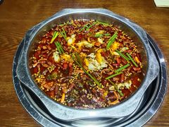 -云鱿记鱿鱼鸡·野生菌火锅(人民南路店)